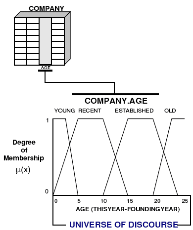 Fuzzy Sets And Applications Assignment Help code